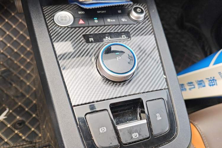 Used BYD e3 2020 High-Range Version Yao·Luxury Model Gear Lever
