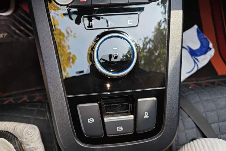 Used BYD e3 2020 High-Range Version Yao·Luxury Model Gear Lever