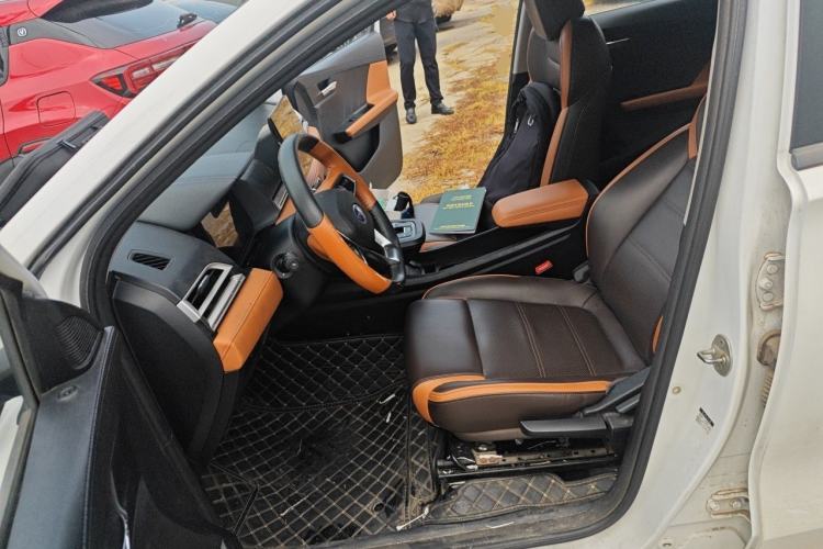 Used BYD e3 2020 High-Range Version Yao·Luxury Model Left Front Seat