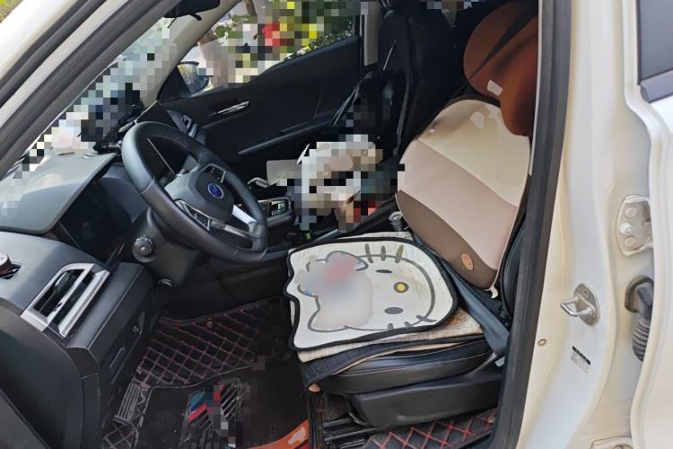 Used BYD e3 2020 High-Range Version Yao·Luxury Model Left Front Seat