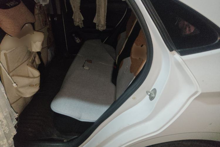 Used BYD e3 2020 Standard Range Version Smart & Comfortable Model Left Rear Seat