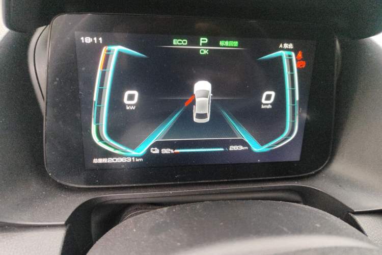 Used BYD e3 2020 Standard Range Version Smart & Comfortable Model Odometer Close Up