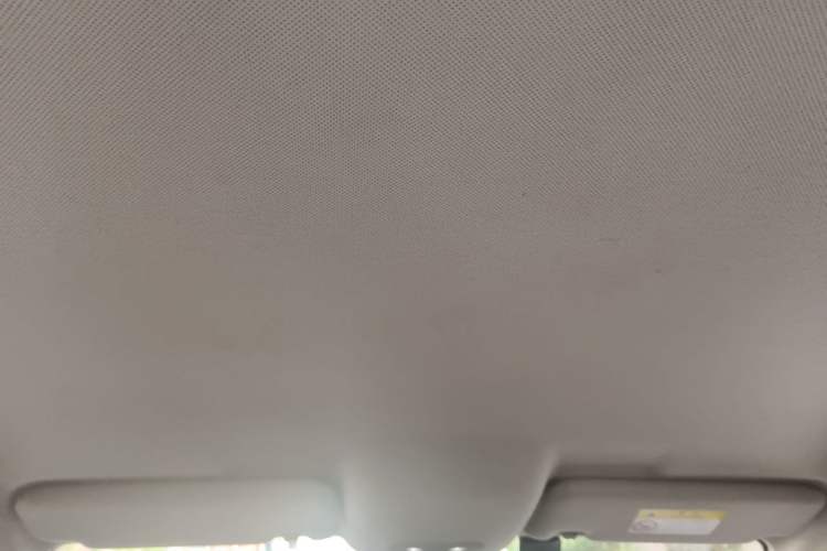 Used BYD e3 2021 Lingchang Edition Headliner