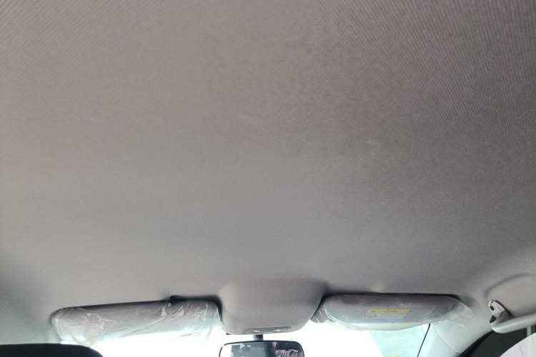 Used BYD e3 2021 Lingchang Edition Headliner