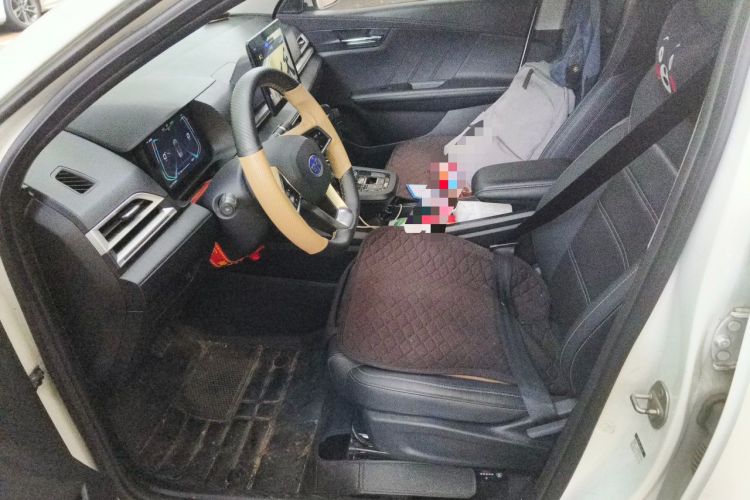 Used BYD e3 2021 Travel Edition Left Front Seat