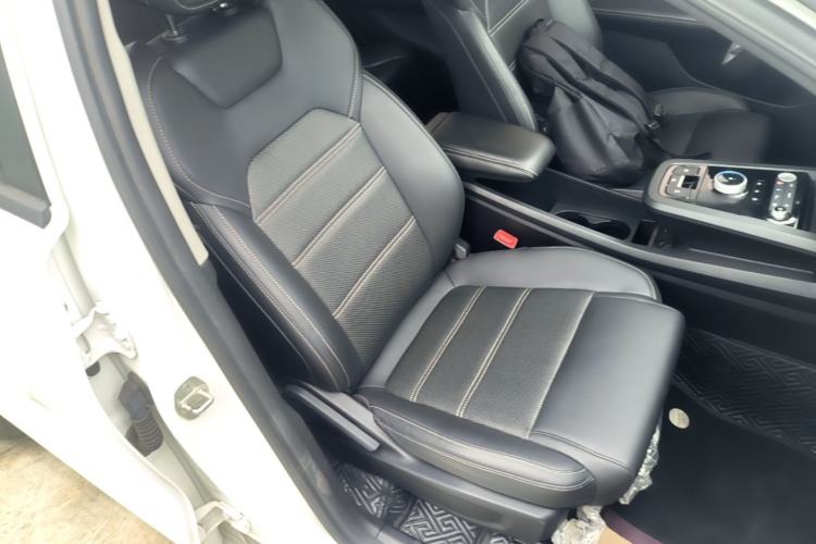 Used BYD e3 2021 Travel Edition Right Front Seat