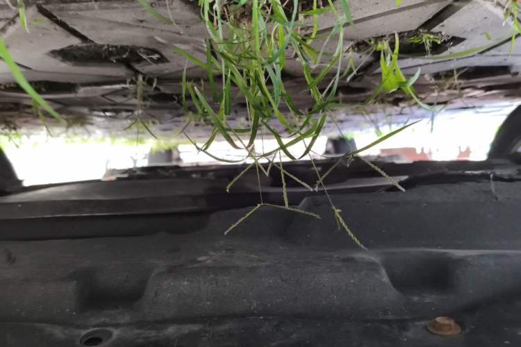 Used BYD e5 2016 300 Luxury Edition Chassis Front