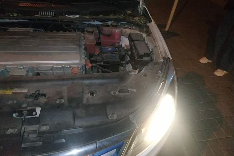 Used BYD e5 2016 300 Luxury Edition Engine Bay Left