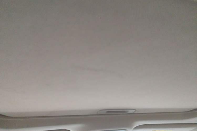 Used BYD e5 2016 300 Luxury Edition Headliner