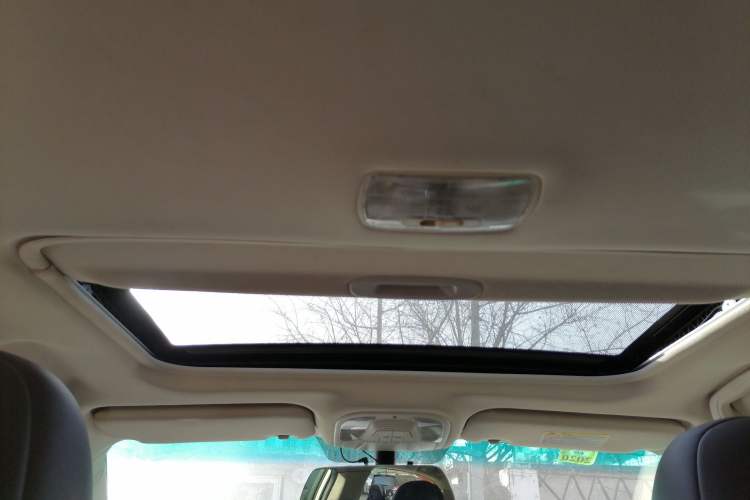 Used BYD e5 2016 300 Luxury Edition Headliner