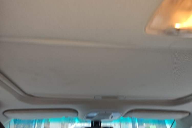 Used BYD e5 2016 300 Luxury Edition Headliner