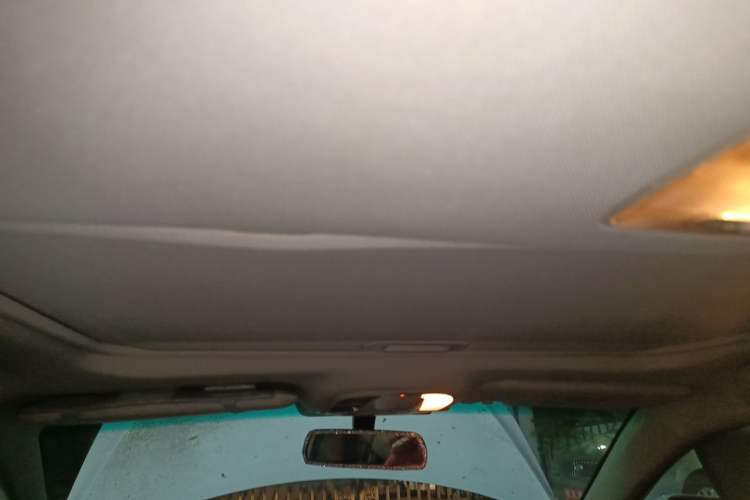 Used BYD e5 2016 300 Luxury Edition Headliner