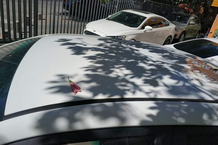 Used BYD e5 2017 300 e-Comfort Edition Roof