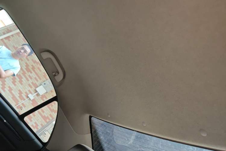 Used BYD e5 2018 Travel Edition Headliner