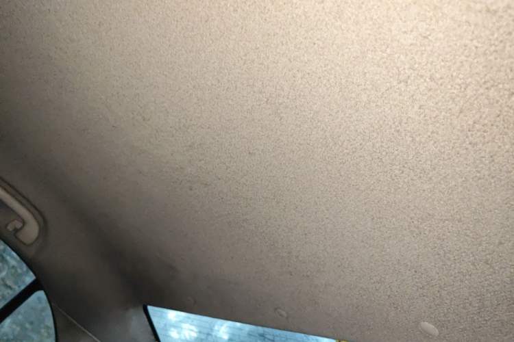 Used BYD e5 2018 450 Smart Connect Enjoyment Version Headliner