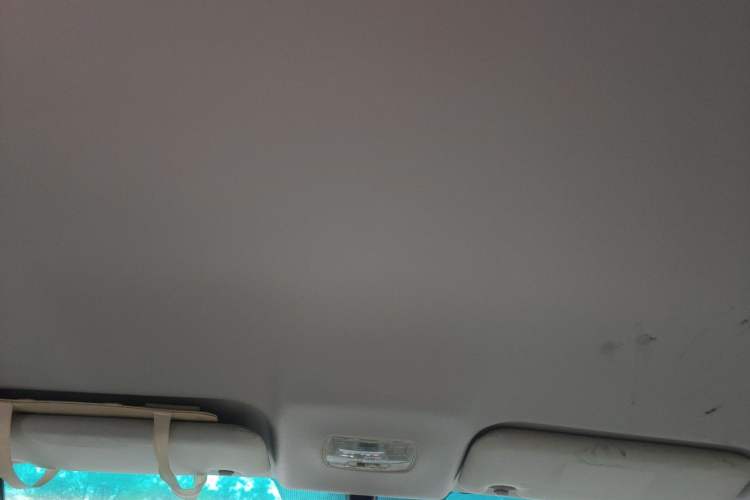 Used BYD e5 2018 450 Smart Connect Enjoyment Version Headliner