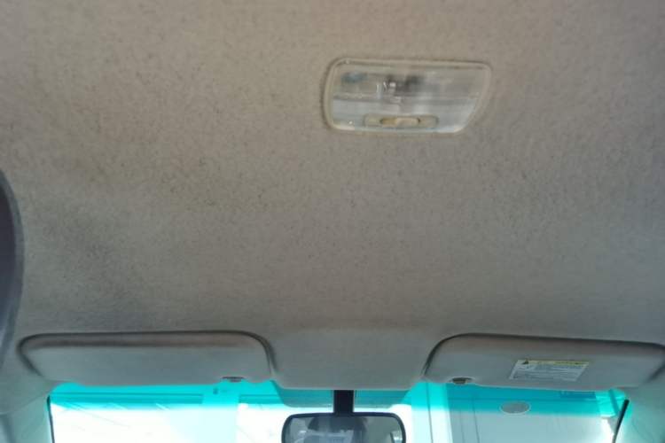 Used BYD e5 2018 Travel Edition Headliner