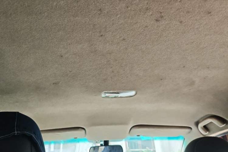Used BYD e5 2018 Travel Edition Headliner