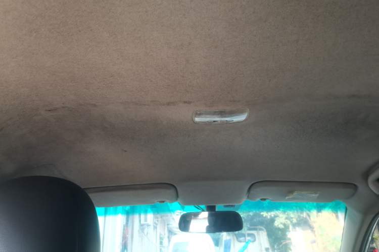 Used BYD e5 2018 Travel Edition Headliner