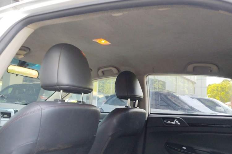 Used BYD e5 2018 Travel Edition Headliner