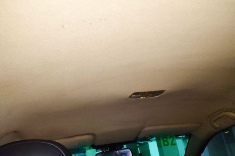 Used BYD e5 2018 Travel Edition Headliner