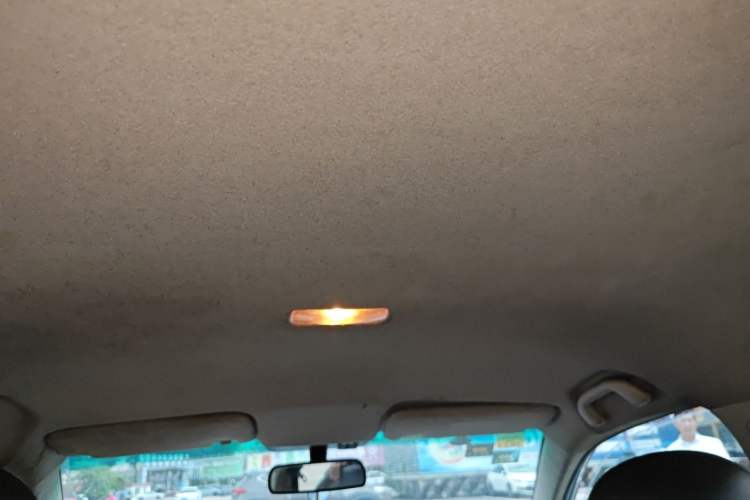 Used BYD e5 2018 Travel Edition Headliner