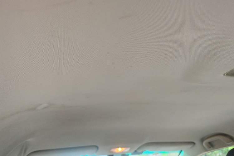 Used BYD e5 2018 450 Smart Connect Enjoyment Version Headliner