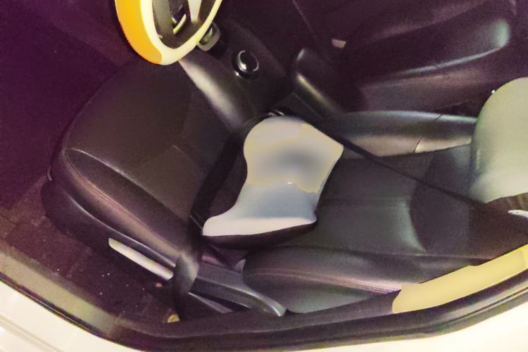 Used BYD e5 2018 Travel Edition Left Front Seat