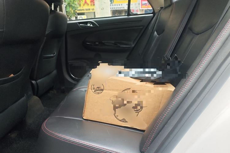 Used BYD e5 2018 450 Smart Connect Enjoyment Version Left Rear Seat