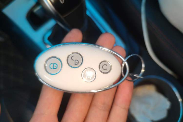 Used BYD e5 2018 Travel Edition Vehicle Key