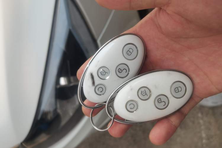 Used BYD e5 2018 Travel Edition Vehicle Key