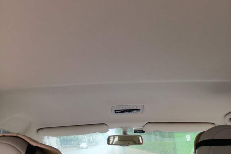 Used BYD e6 2014 Luxury Model (Beijing Edition) Headliner