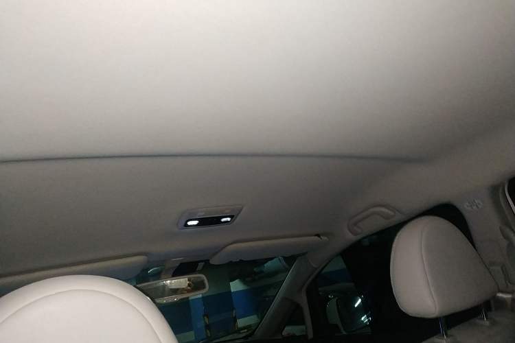 Used BYD e6 2014 Elite Edition Headliner