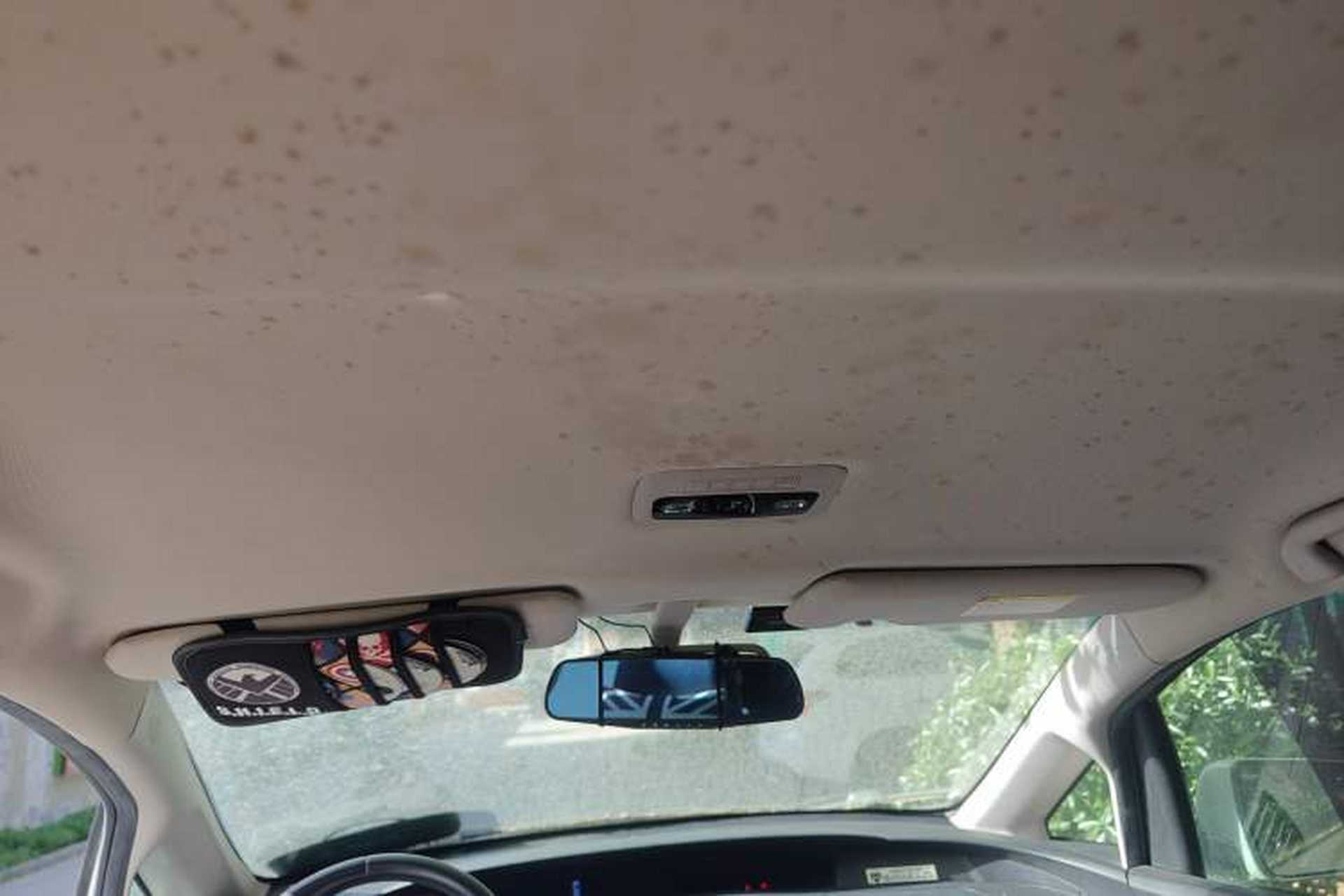 Used BYD e6 2016 400 Elite Edition Headliner