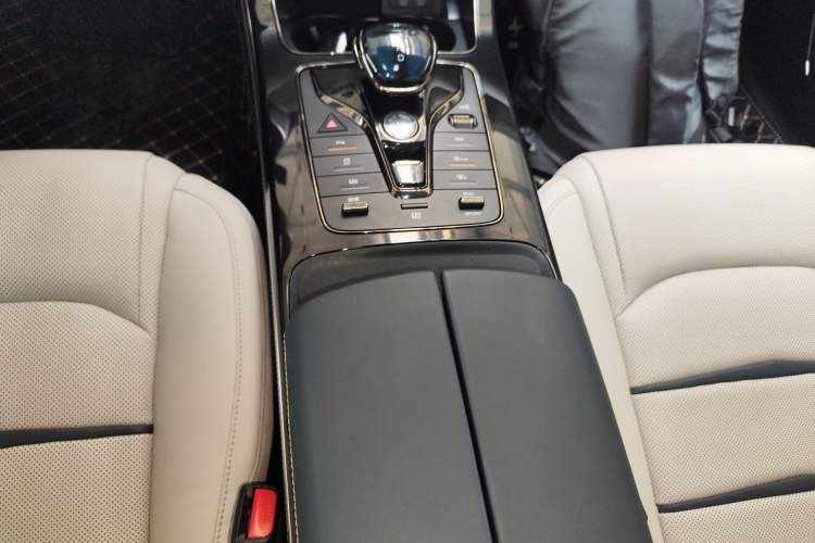 Used BYD e9 2021 Business Edition Gear Lever