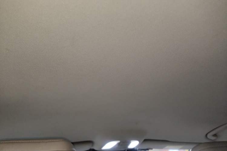 Used BYD e9 2021 Business Edition Headliner