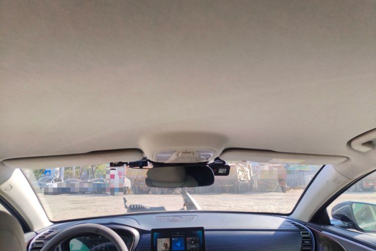 Used BYD e9 2021 Business Edition Headliner