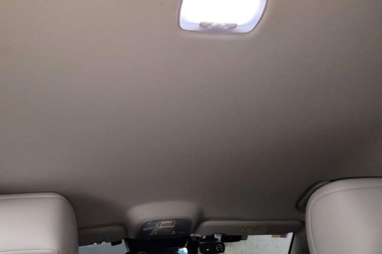 Used BYD e9 2021 Business Edition Headliner