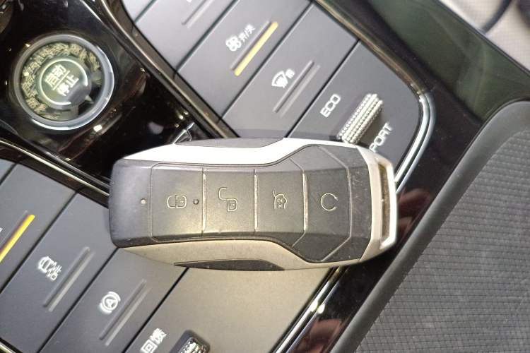 Used BYD e9 2021 Business Edition Interior 1