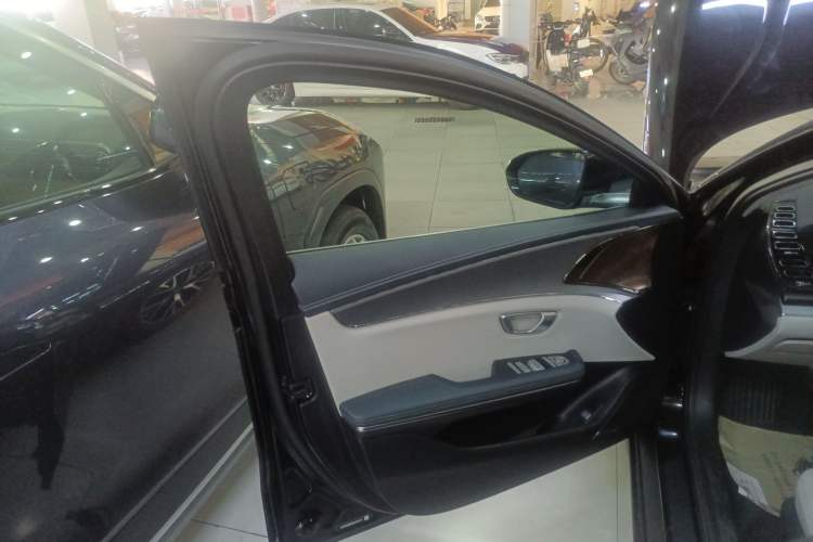 Used BYD e9 2021 Business Edition Left Front Door Interior