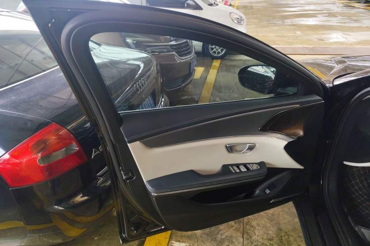 Used BYD e9 2021 Business Edition Left Front Door Interior