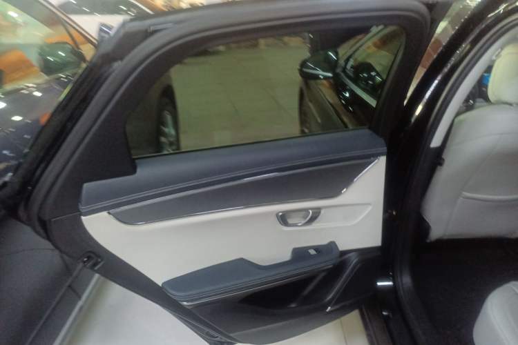 Used BYD e9 2021 Business Edition Left Rear Door Interior