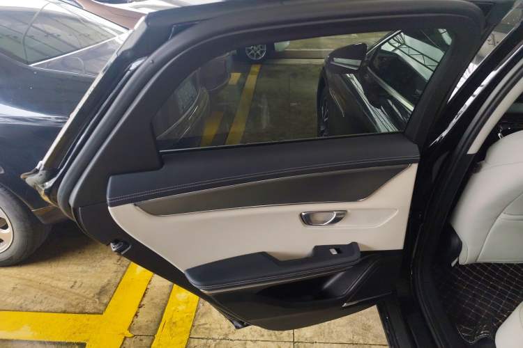 Used BYD e9 2021 Business Edition Left Rear Door Interior