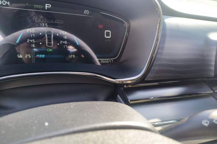 Used BYD e9 2021 Business Edition Odometer Close Up