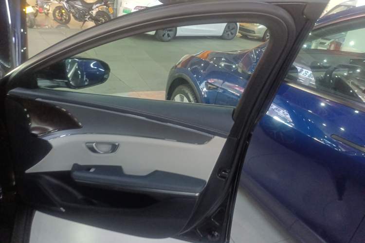 Used BYD e9 2021 Business Edition Right Front Door Interior