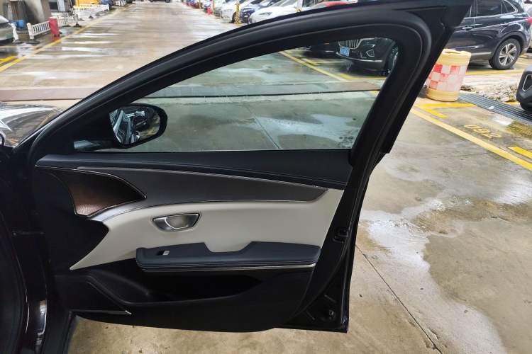 Used BYD e9 2021 Business Edition Right Front Door Interior