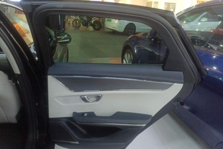 Used BYD e9 2021 Business Edition Right Rear Door Interior