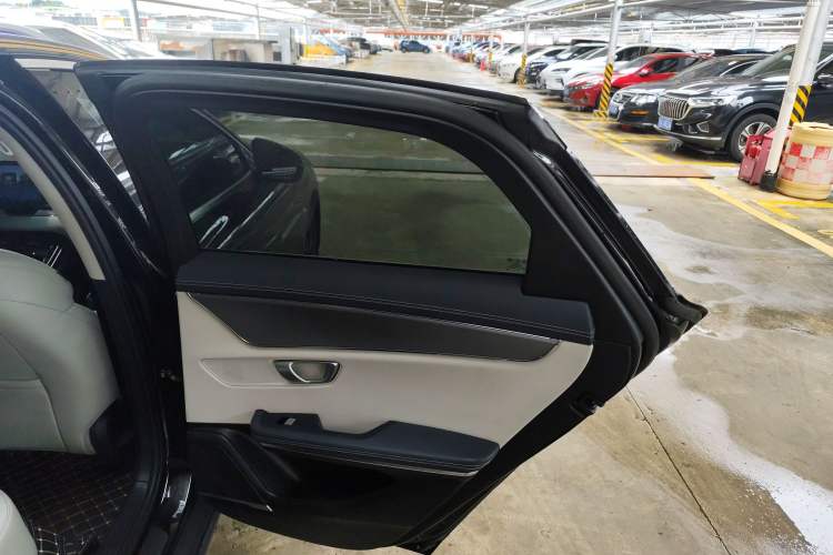Used BYD e9 2021 Business Edition Right Rear Door Interior