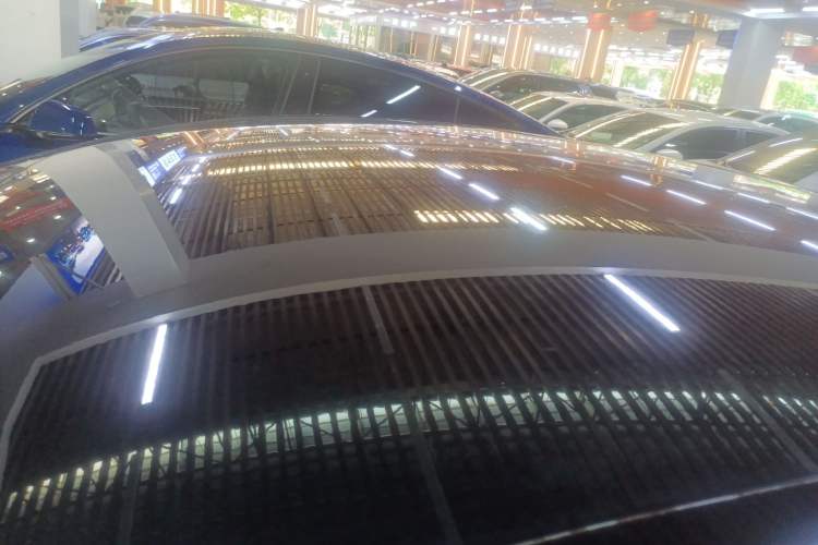 Used BYD e9 2021 Business Edition Roof