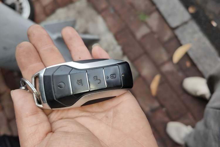 Used BYD e9 2021 Business Edition Vehicle Key